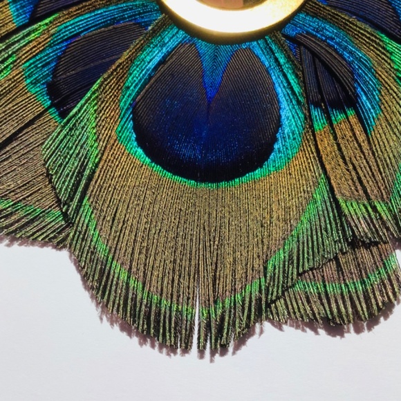 Peacock Feather 🦚 Necklace - Picture 3 of 5